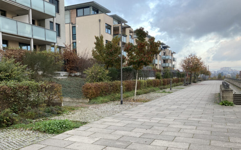 Mehr Bäume an alle Straßen und Spielplätze